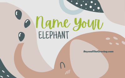 Name Your Elephant